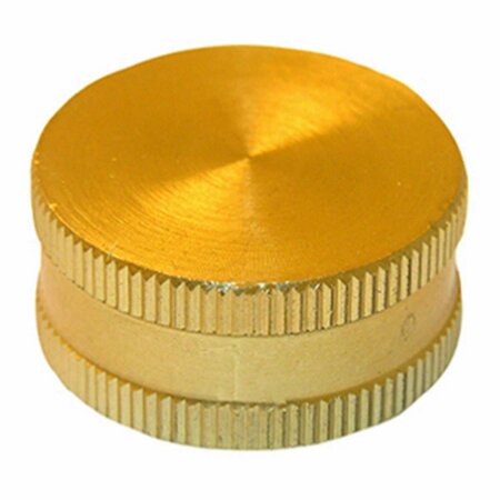 SAVOGRAN Brass Hose Cap, 6PK 207852